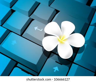 Flower on Key board