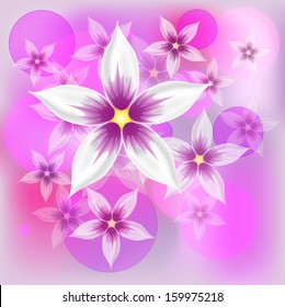 Flower on the purple background