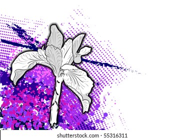 flower on the purple background