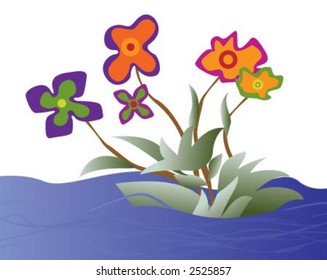 Flower on water