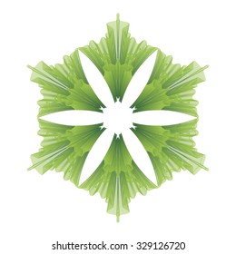  Flower on a white background