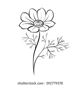 flower on a white background