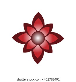 Flower on a white background.