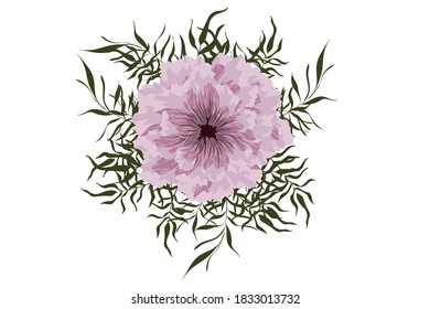 flower on white background Elements are isolated on a white background. Design for printing on cards, invitations