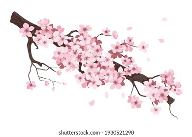 flower on white background Elements are isolated on a white background. Design for printing on cards, invitations