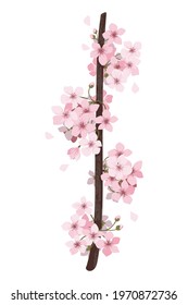 flower on white background Elements are isolated on a white background. Design for printing on cards, invitations