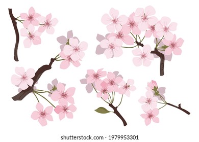 flower on white background Elements are isolated on a white background. Design for printing on cards, invitations