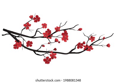 flower on white background Elements are isolated on a white background. Design for printing on cards, invitations