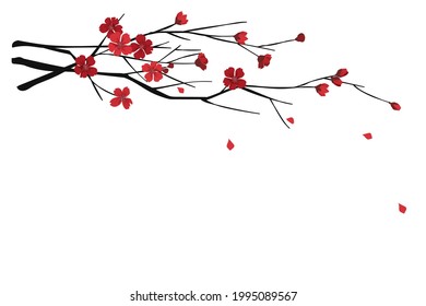 flower on white background Elements are isolated on a white background. Design for printing on cards, invitations
