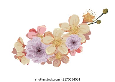 flower on white background Elements are isolated on a white background. Design for printing on cards, invitations