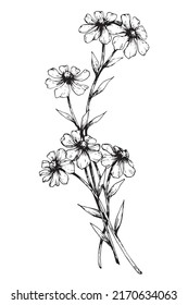 flower on white background Elements are isolated on a white background. Design for printing on cards, invitations