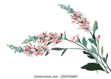 flower on white background Elements are isolated on a white background. Design for printing on cards, invitations