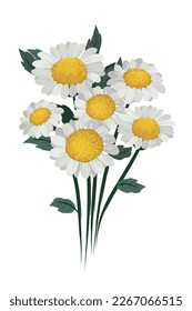 flower on white background Elements are isolated on a white background. Design for printing on cards, invitations
