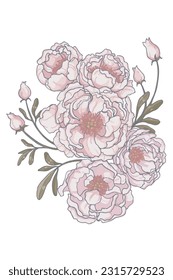 flor sobre fondo blanco Los elementos están aislados sobre un fondo blanco. Diseño para imprimir en tarjetas, invitaciones