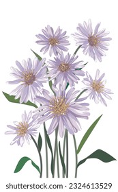 flower on white background Elements are isolated on a white background. Design for printing on cards, invitat