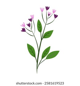 flower on white background Elements are isolated on a white background. Design for printing on cards, invitations