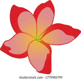 Flower on white background. Flowers for decoration or other frames