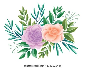 Flower on white background. Flowers for decoration or other frames