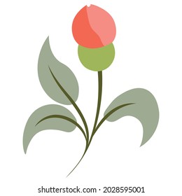 Flower on white background. Isolated design element, floral image old fashion style