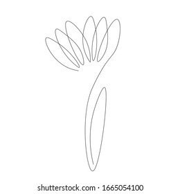 Flower on white background vector illustration