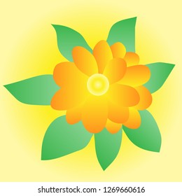 Flower on a yellow background