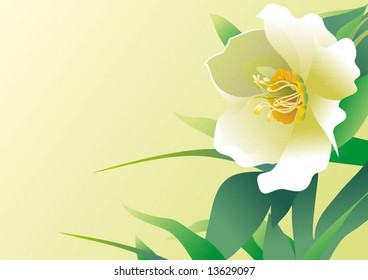 flower on yellow background, vector illustration