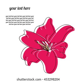 the flower one. bright pink
