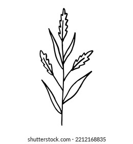 Flower one doodle contour silhouette dark line, no colors, isolated, element design.