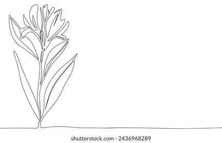 Flower one line continuous. Line art Flower isolated on transparent background. Hand drawn vector art.