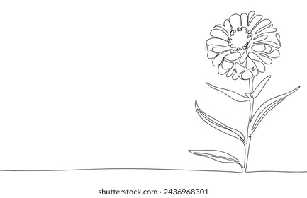 Flower one line continuous. Line art Flower isolated on transparent background. Hand drawn vector art.