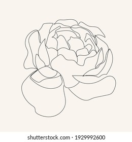 Blume auf weißem Hintergrund in einer Zeile, durchgehend