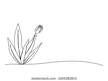 Flower, one line drawing animation with alpha channel.