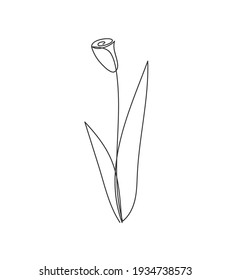Flower in one line drawing style. Abstract image of a silhouette of a flower.