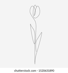 Flower one line drawing, vector illustration