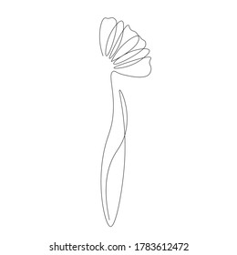 Flower one line drawing. Vector illustration