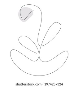 A flower one line. illustrations for web. Оne line. Outline. Minimalism.