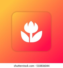 Flower orange bright app ui/ux Icon / Logo design