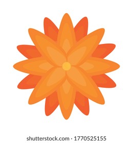 flower orange color on white background vector illustration design