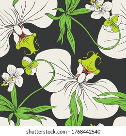 Flower Orchid. The Orchid plant. Seamless vector pattern with flowers. Hand drawing.