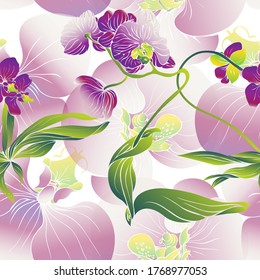 Flower Orchid. The Orchid plant. Seamless vector pattern with flowers. Hand drawing.