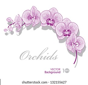 8,053 Stylized Orchid Images, Stock Photos & Vectors | Shutterstock