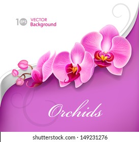 Flower orchid. Vector eps 10.