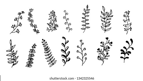 Flower ornament dividers. Hand drawn floral sketch leaves ornaments. Floral vector graphic. Nature design elements.