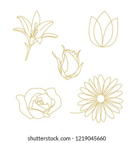 flower ornament vector set decoration line outline