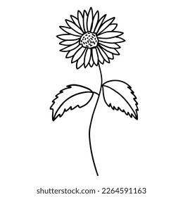 Flower in outline doodle flat style. Vector illustration isolated on white background.