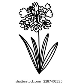 Flor en el contorno estilo plano de doodle para colorear. Sencilla planta de elementos florales deja un diseño decorativo. Dibujo manual de líneas. Dibujo creativo. Ilustración vectorial aislada en fondo blanco.