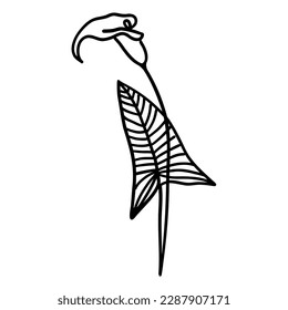 Flor en el contorno estilo plano de doodle para colorear. Sencilla planta de elementos florales deja un diseño decorativo. Dibujo manual de líneas. Dibujo creativo. Ilustración vectorial aislada en fondo blanco.