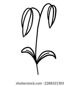 Flower in outline doodle flat style for coloring. Simple floral element plant leaves decorative design. Hand drawn line art. Creative sketch. Vector illustration isolated on white background.