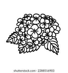 Flor en el contorno de doodle de estilo plano. Sencilla planta de elementos florales deja un diseño decorativo. Dibujo de línea dibujada a mano. Dibujo creativo minimalista. Ilustración vectorial aislada en fondo blanco.