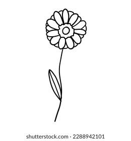 Flower in outline doodle flat style for coloring. Simple floral element plant leaves decorative design. Hand drawn line art. Creative sketch. Vector illustration isolated on white background.